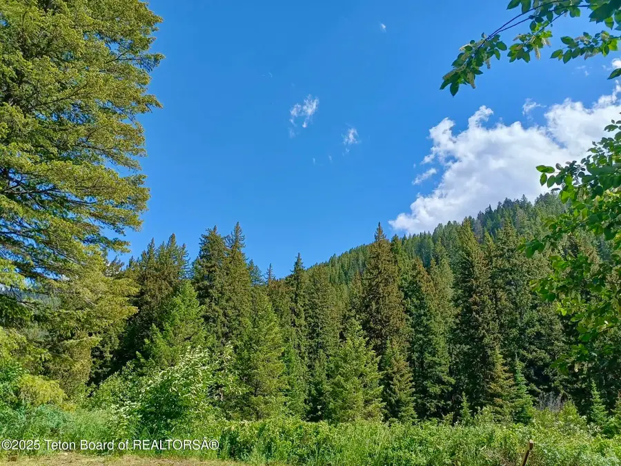 466 Willow Crk Cyn Road, Bedford, WY 83112 - Image #3