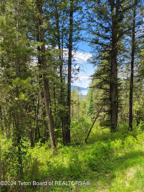 Lot 22 Trail Ridge Road, Alpine, WY 83128