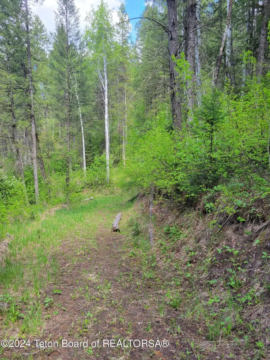 Lot 22 Trail Ridge Road, Alpine, WY 83128 - Image #3