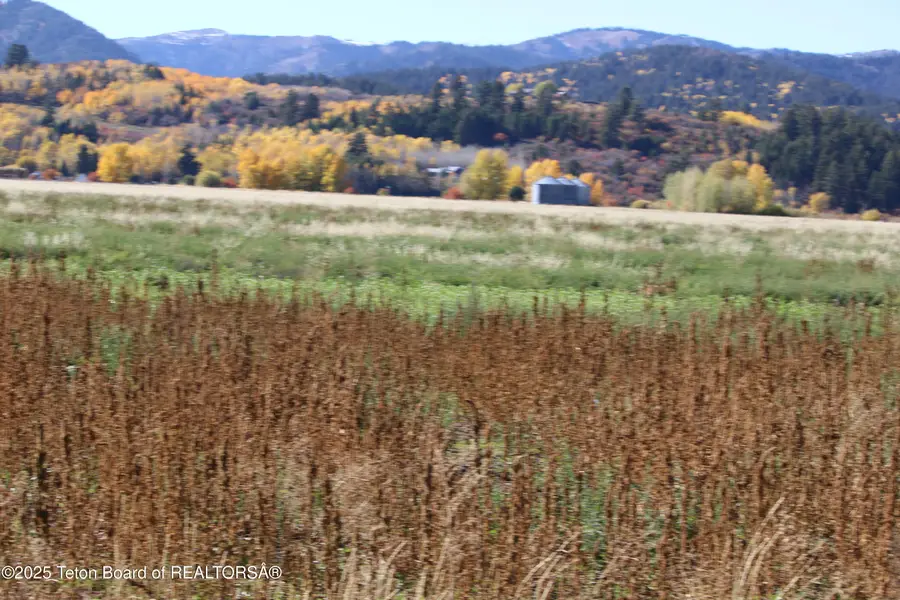 TBD LOT 2 W 2250 S, Victor, ID 83455 - #2