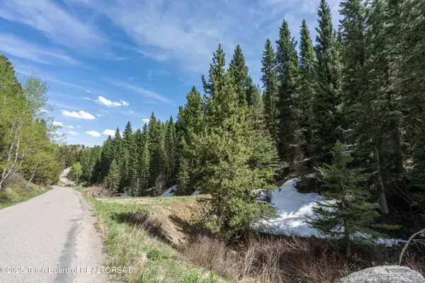 6600 W Paintbrush Trail, Wilson, WY 83014
