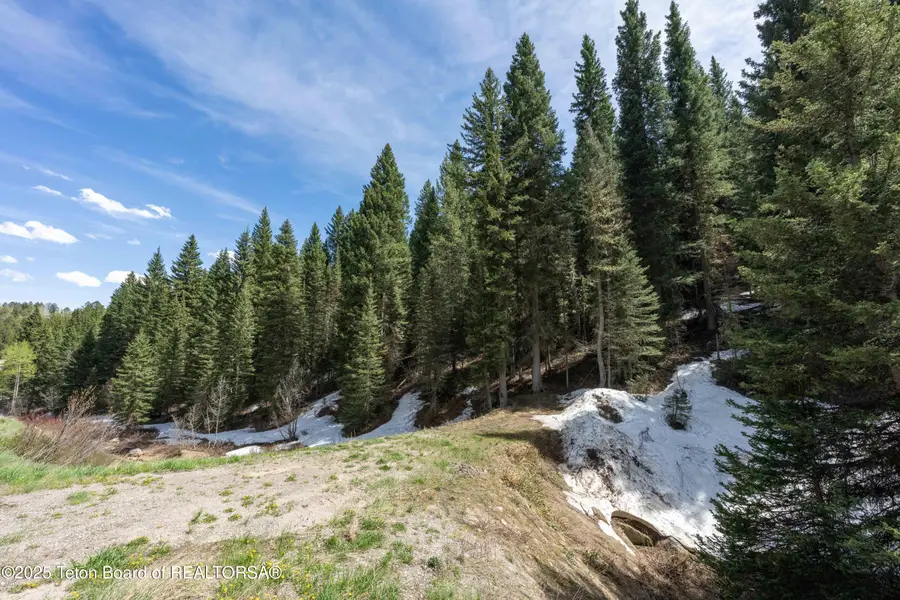 6600 W Paintbrush Trail, Wilson, WY 83014 - Image #3