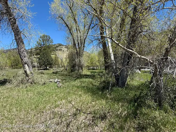 LOT 157 Paintbrush Court, Star Valley Ranch, WY 83127