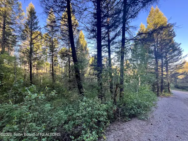 UN 1 L 46 Spruce Drive, Star Valley Ranch, WY 83127
