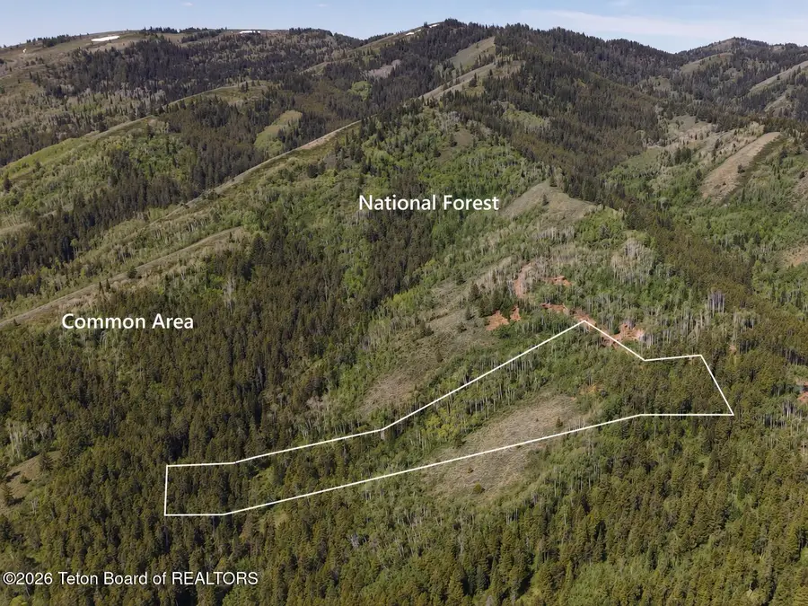 TBD LOT 1 Labra Lane, Victor, ID 83455 - #3