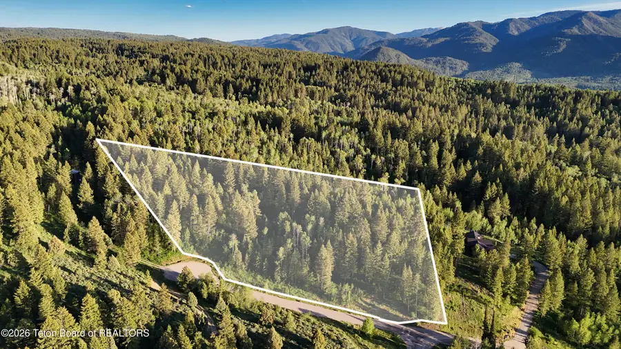 TBD Caribou Forest Cir, Irwin, ID 83424 - #3