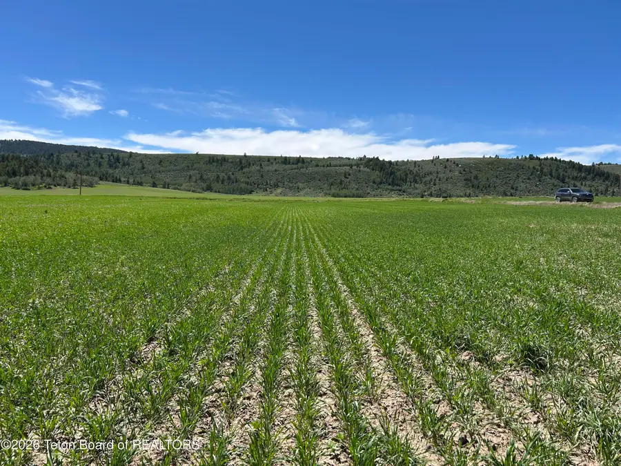 8859 Fawn Ridge Rd, Tetonia, ID 83452 - #2