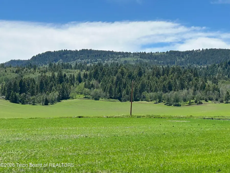 8859 Fawn Ridge Rd, Tetonia, ID 83452 - #3