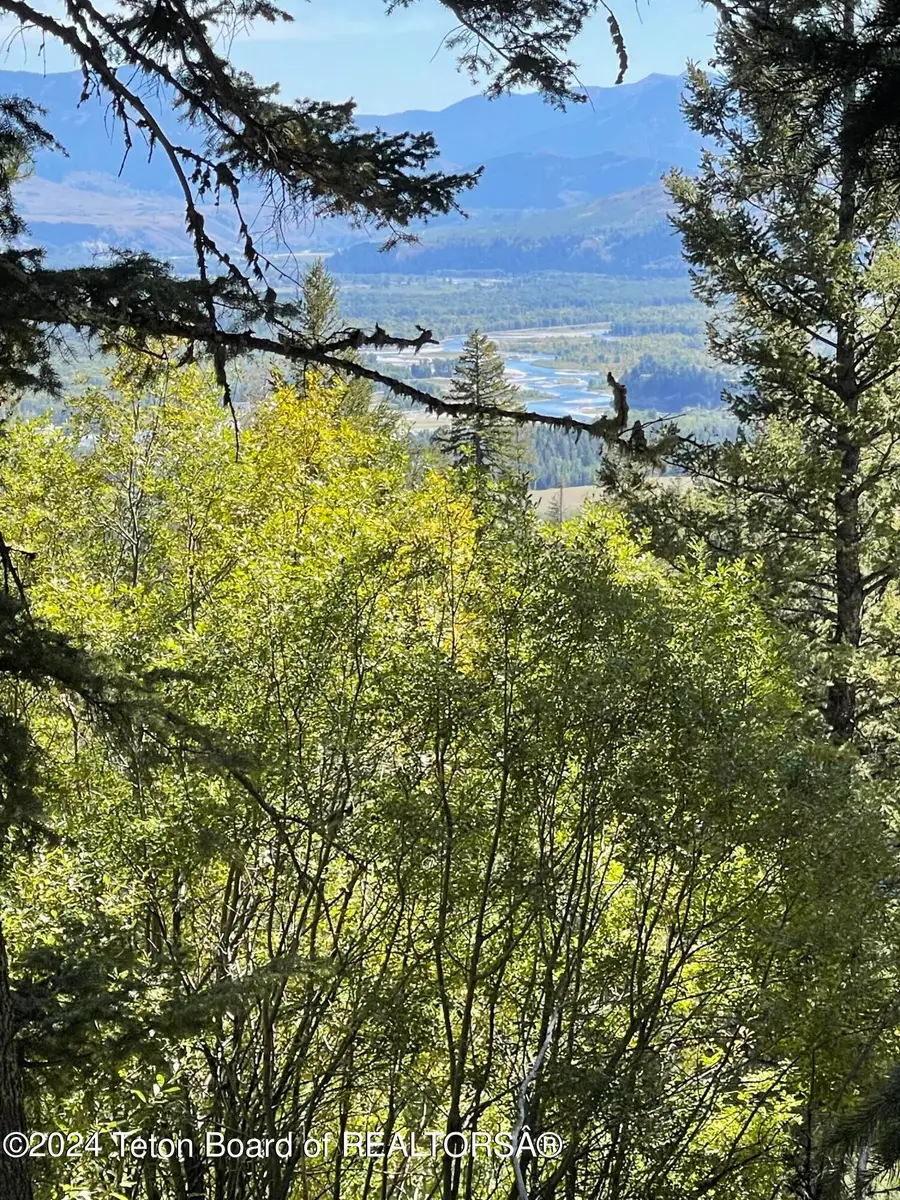 6880 W Lupine Trail, Wilson, WY 83014 - #2