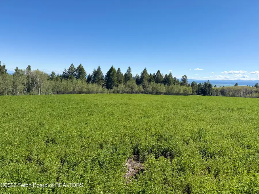 PARCEL 7 Neville Springs Rd, Tetonia, ID 83452 - #3