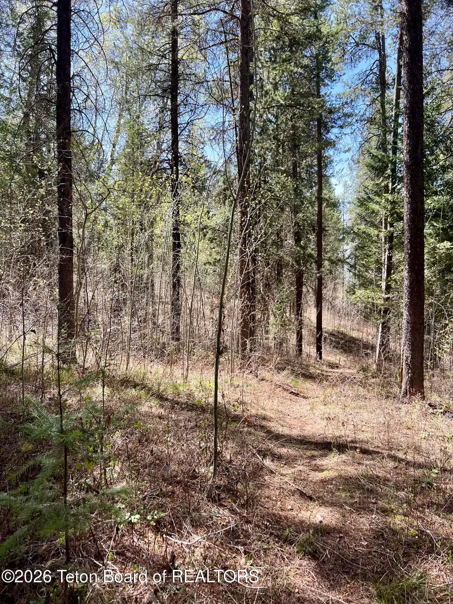 280 Wolverine Way, Tetonia, ID 83452 - #2