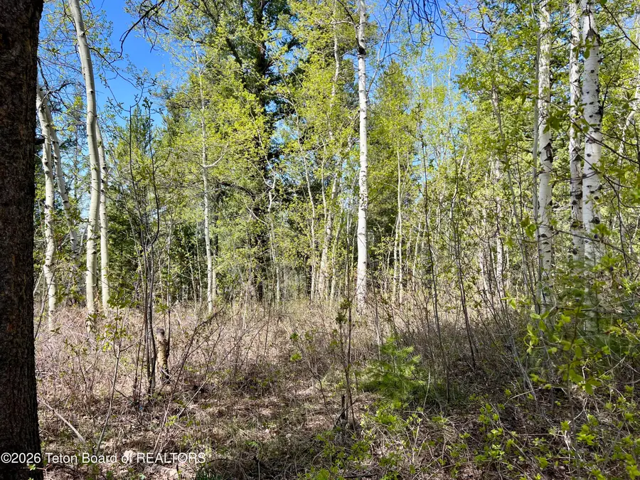 280 Wolverine Way, Tetonia, ID 83452 - #3