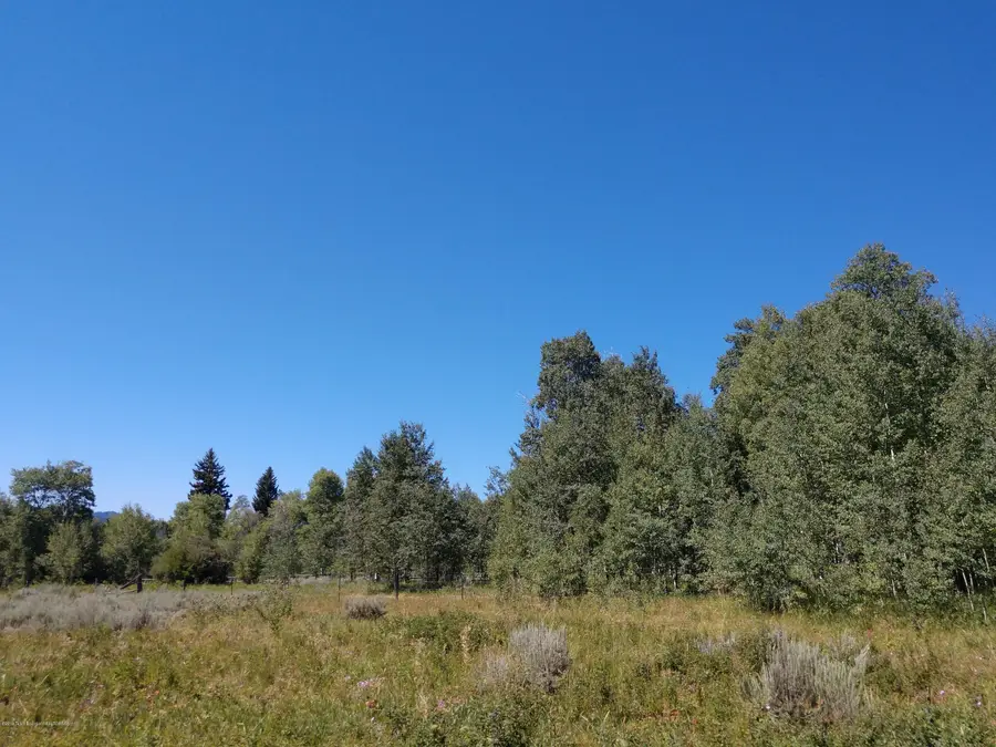 21820 Buffalo Valley Road, Moran, WY 83013 - #2
