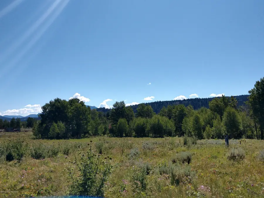 21820 Buffalo Valley Road, Moran, WY 83013 - #3