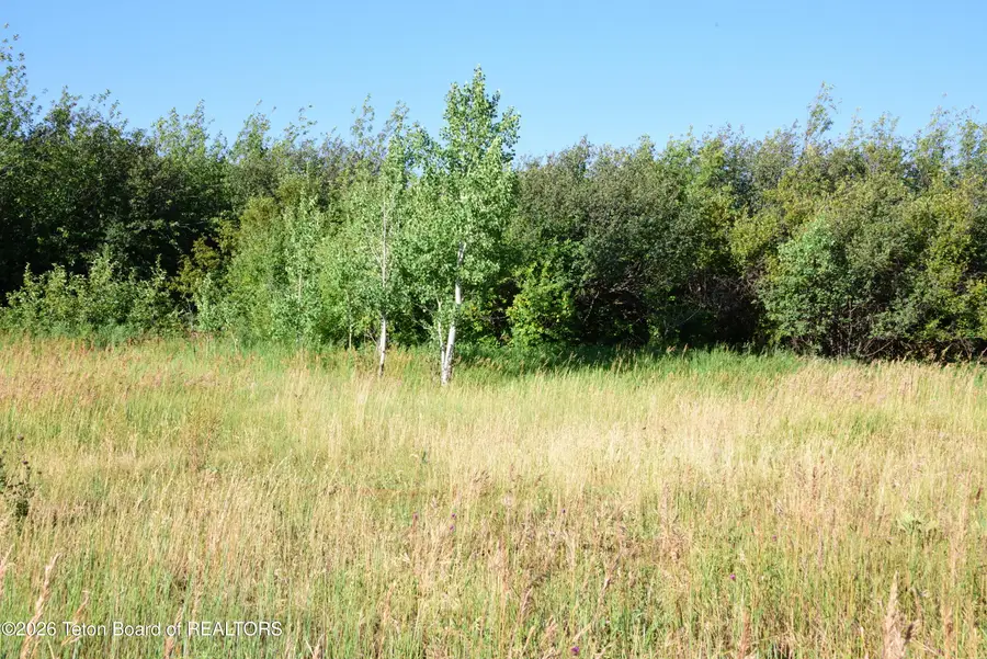 9855 S 1100 E, Victor, ID 83455 - #3