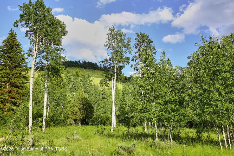 820 W Elk Ridge Road, Jackson, WY 83001 - #3
