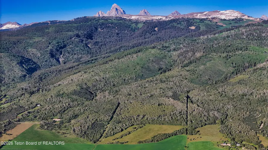 TBD S Stateline Road, Alta, WY 83414 - #3