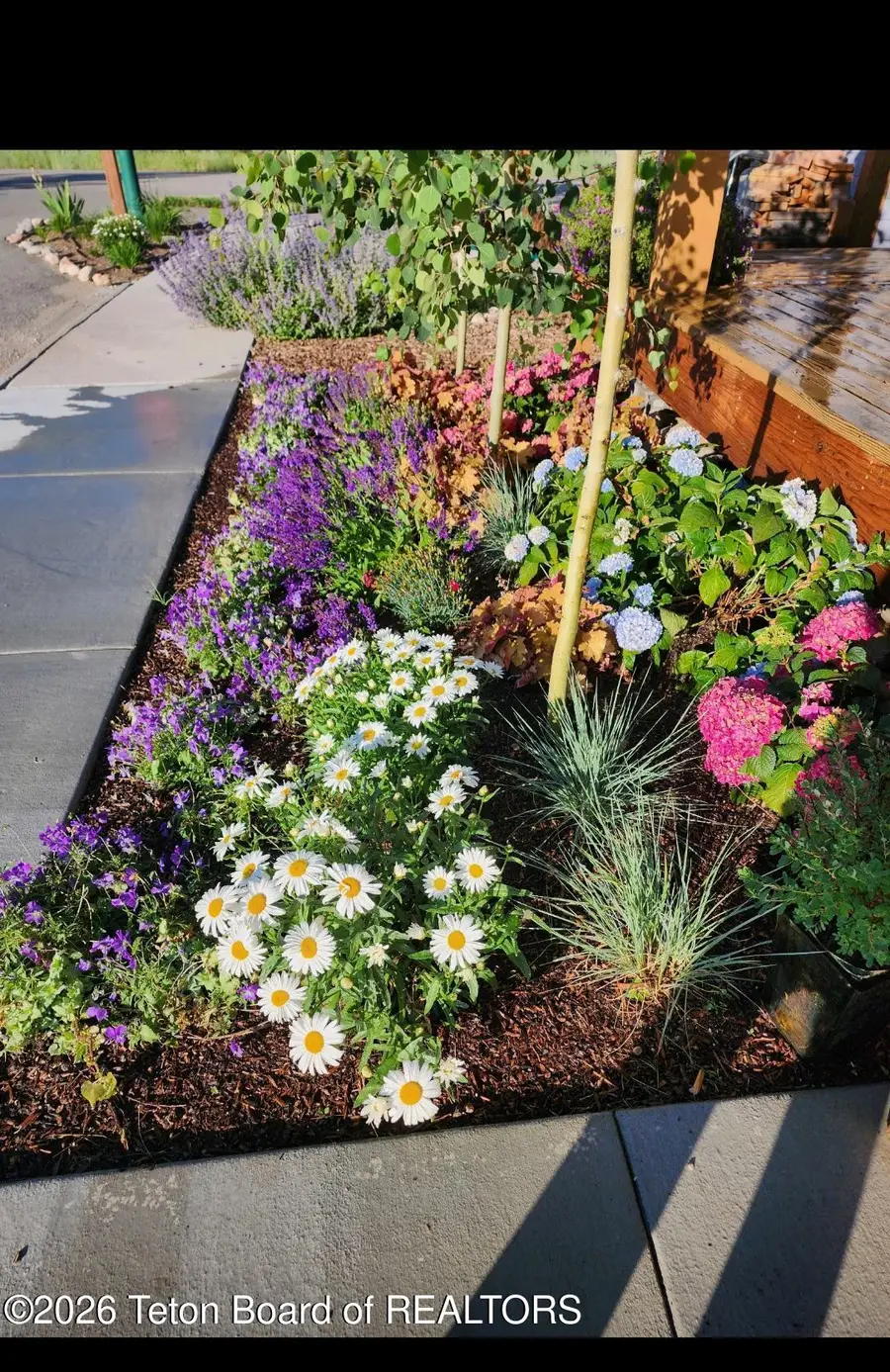 9076 Red Mountain Way, Victor, ID 83455 - #3