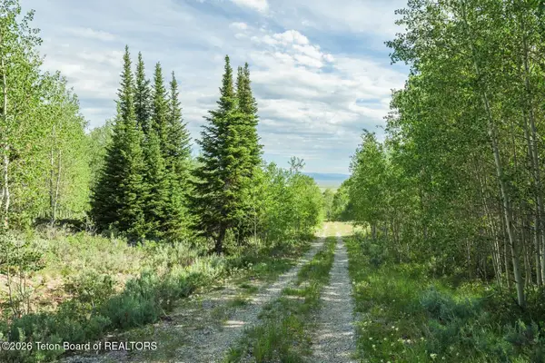 TRACT 14 Spring Hollow Road, Merna, WY 83115