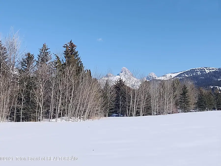 445 Targhee Towne Road, Alta, WY 83414 - #2