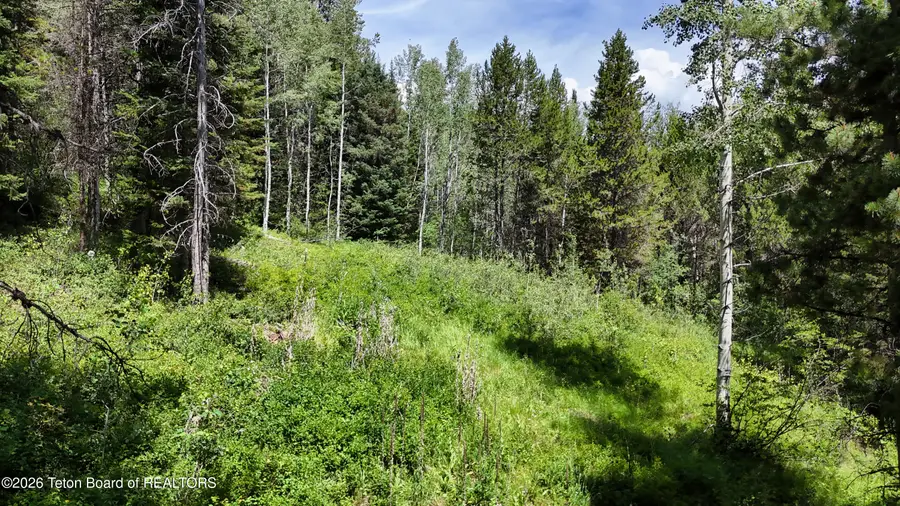 5980 Syringa Drive, Victor, ID 83455 - #3