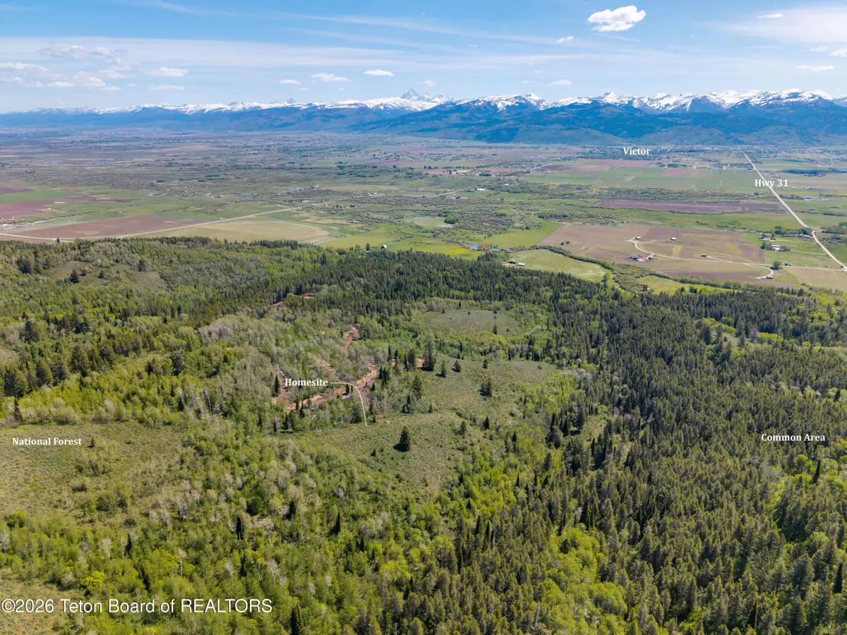 TBD LOT 5 Labra Lane, Victor, ID 83455 - #1