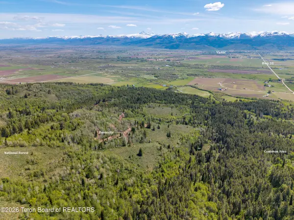 TBD LOT 5 Labra Lane, Victor, ID 83455