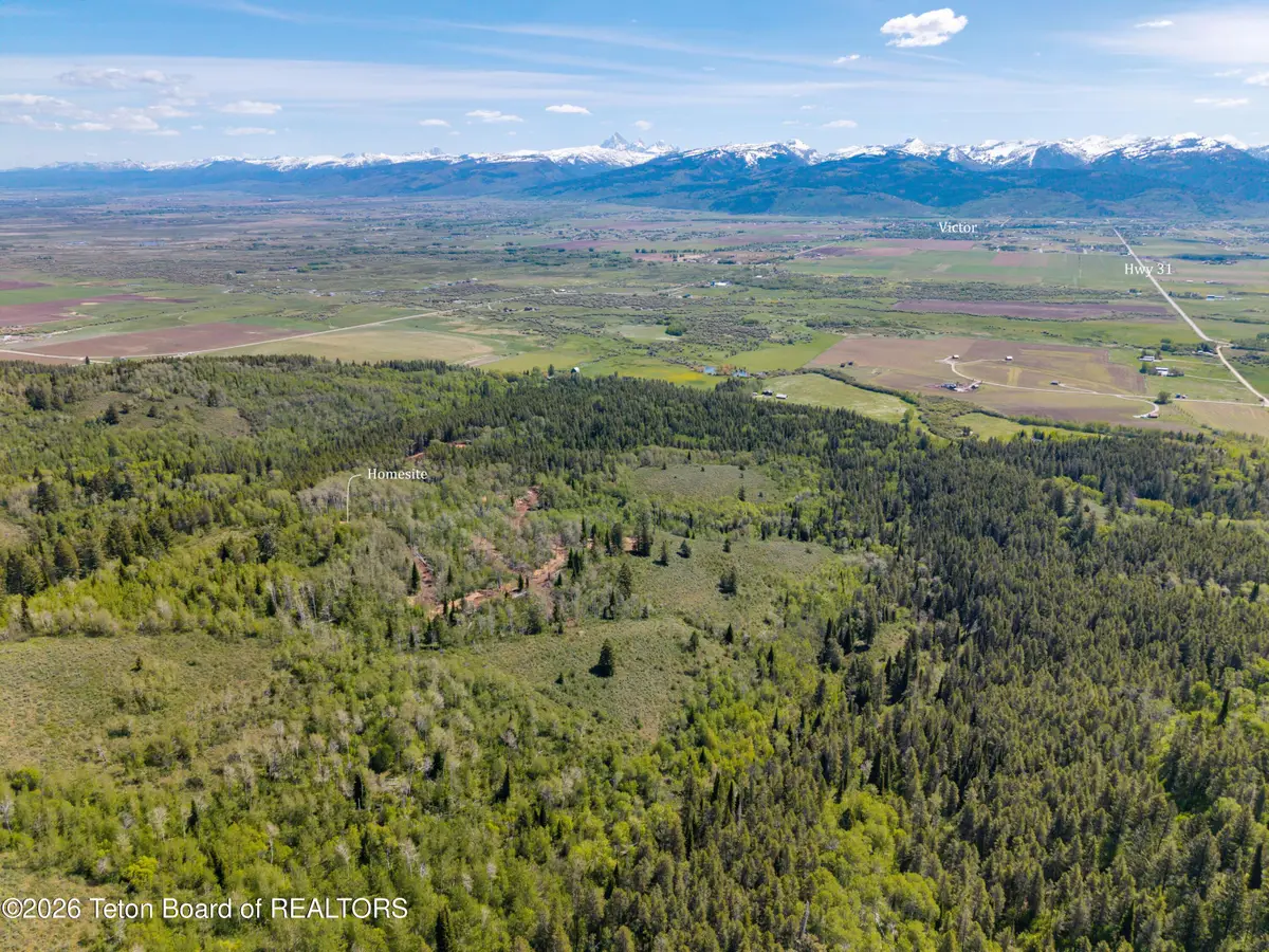 TBD LOT 6 Labra Lane, Victor, ID 83455 - #1