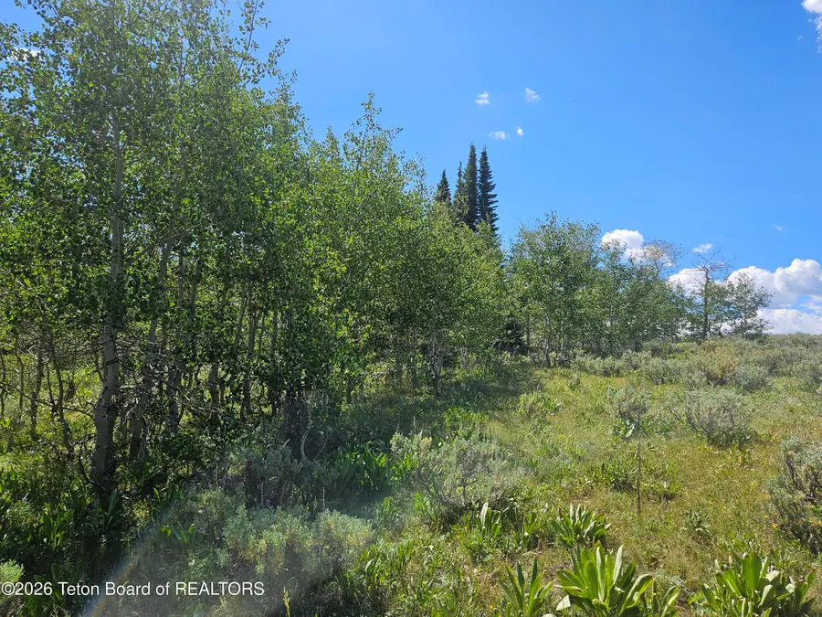 TRACK 12 Aspen Ridge Road, Merna, WY 83115 - #2