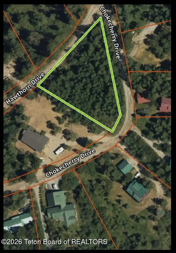 LOT 38 Chokecherry Drive, Alpine, WY 83128 - #1