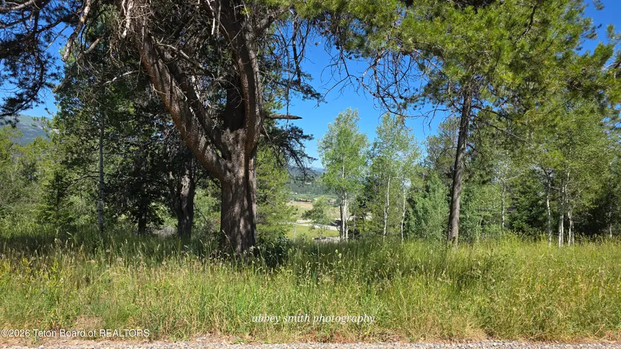 LOT 38 Chokecherry Drive, Alpine, WY 83128 - #2