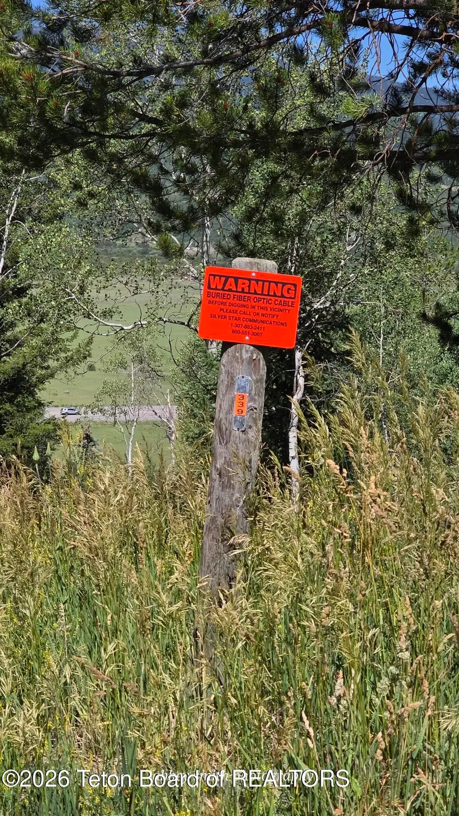 LOT 38 Chokecherry Drive, Alpine, WY 83128 - #3