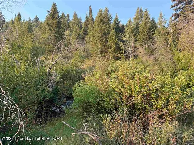 LOT 1 Bloomington Canyon Road, Paris, ID 83261 - #3