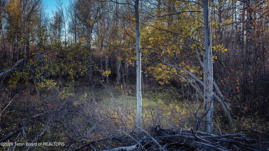 5 Swiss Village Trail, Alta, WY 83414 - #3