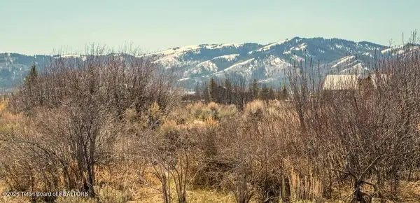 7757 Spoon Creek Dr. Drive, Victor, ID 83455
