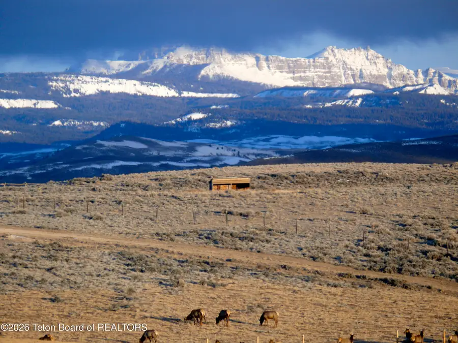 LOT 4 Flying Frog Lane, Dubois, WY 82513 - #3