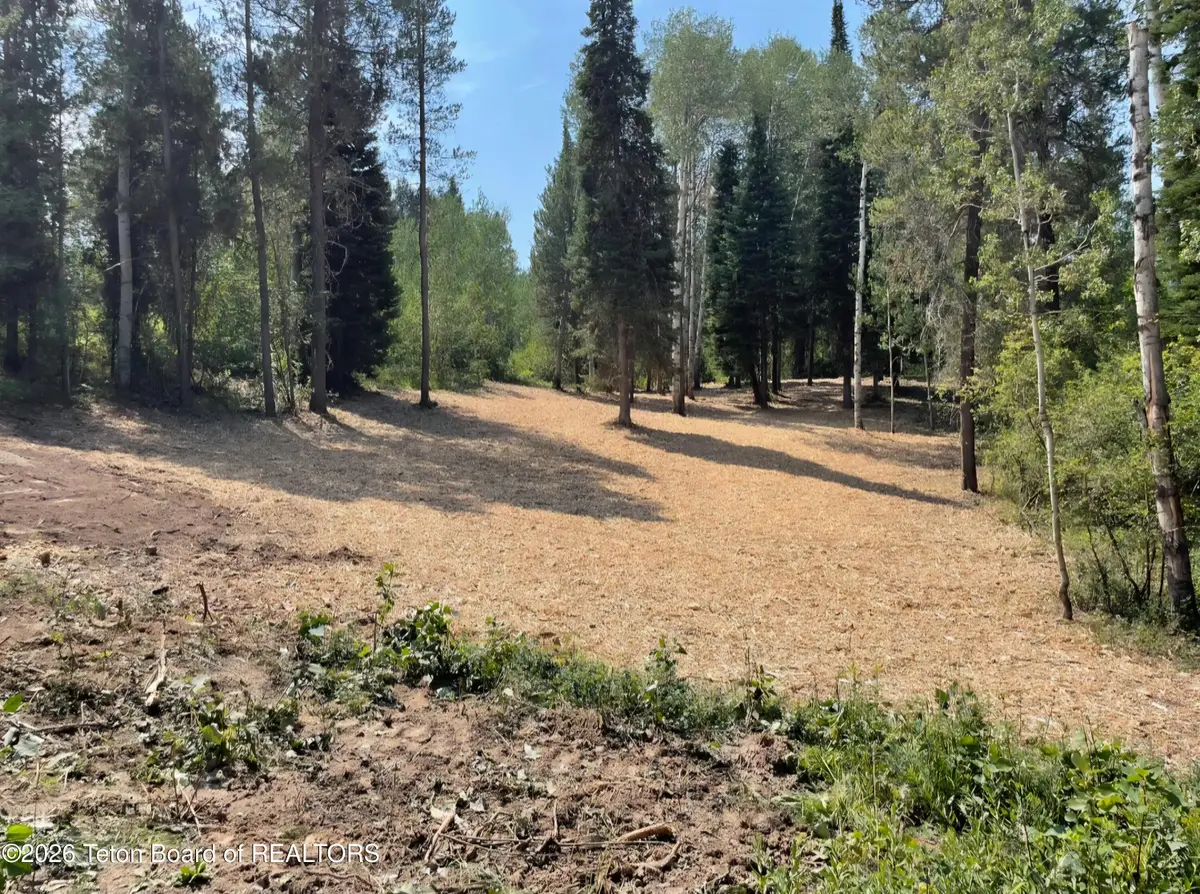 LOT 13 Alpine Meadow Loop, Alpine, WY 83128 - #1