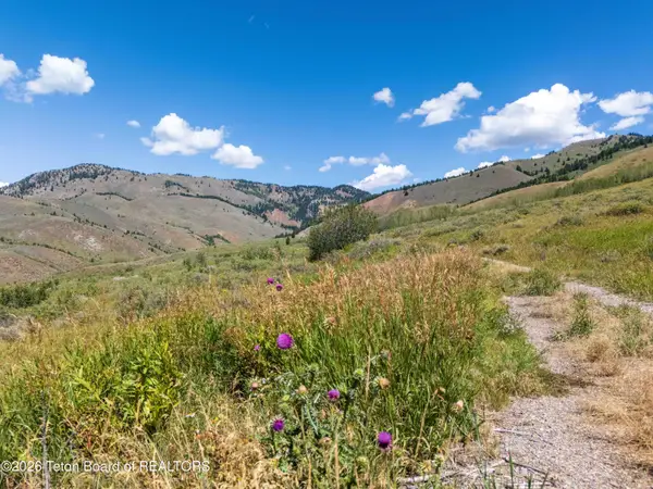 3250 E Wildhorse Road, Jackson, WY 83001