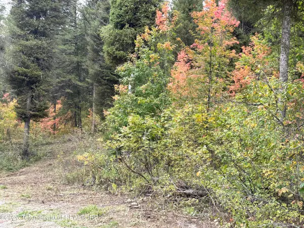 LOT 60 Cedar Drive, Star Valley Ranch, WY 83127