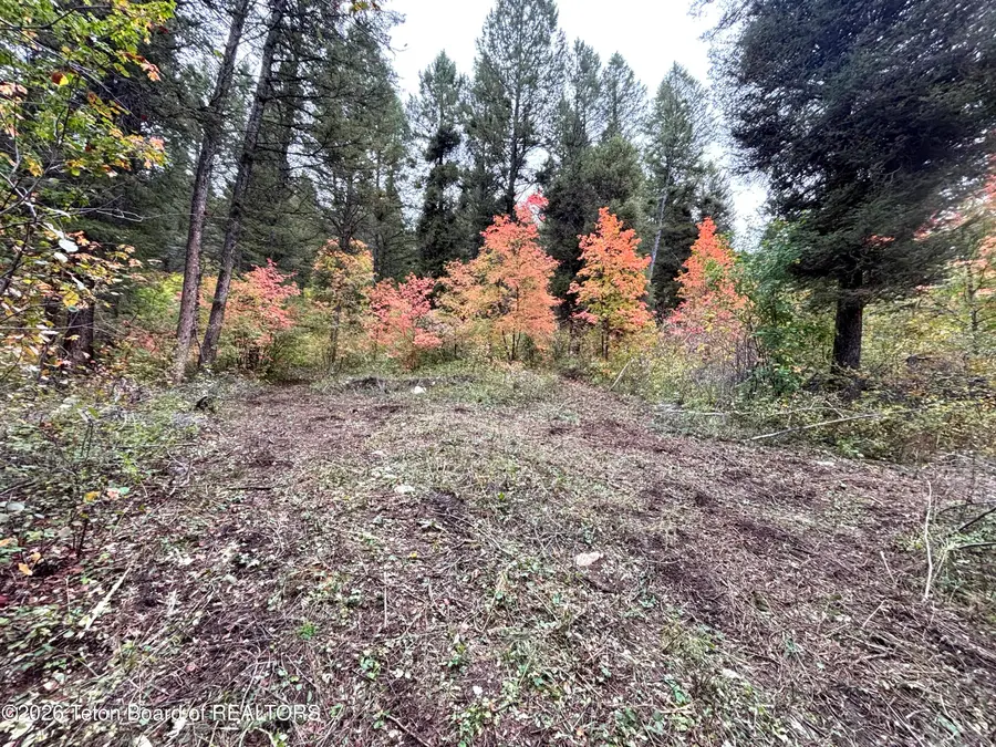 LOT 60 Cedar Drive, Star Valley Ranch, WY 83127 - #3