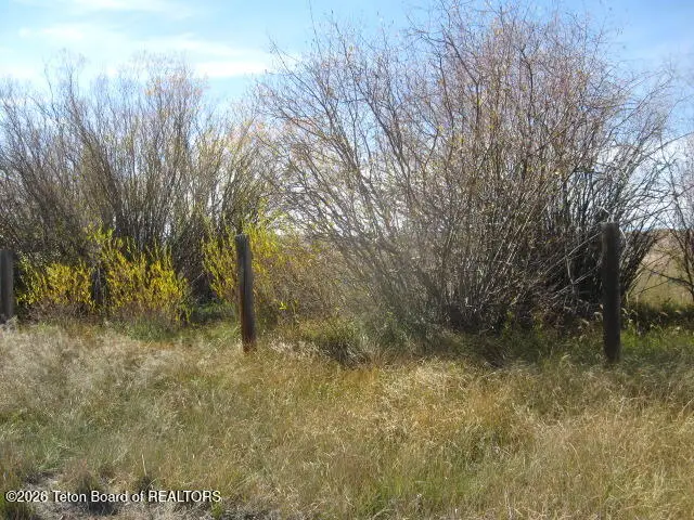Alden Avenue, Pinedale, WY 82941 - #3