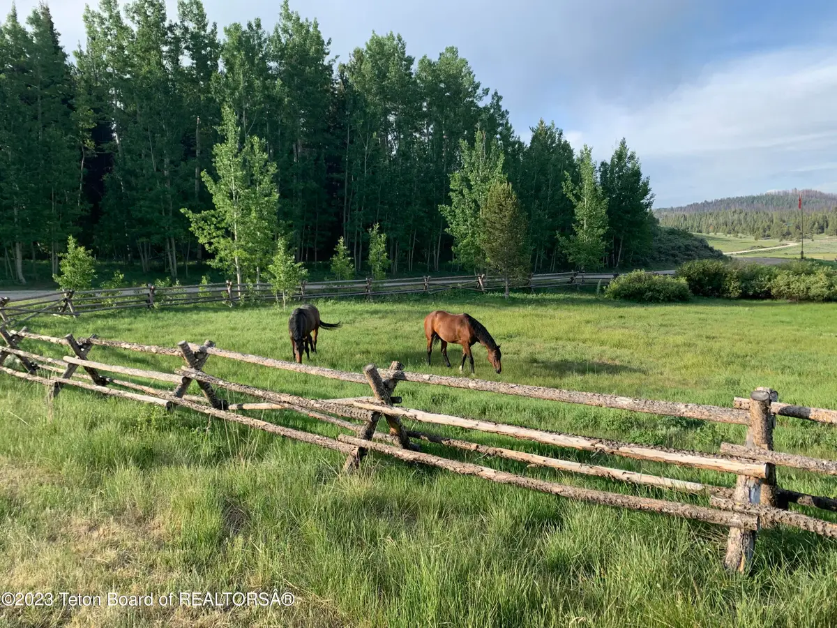 50 Summit Drive, Bondurant, WY 82922 - #1