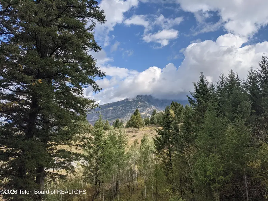 L50B4 Cutthroat Run, Irwin, ID 83424 - #2