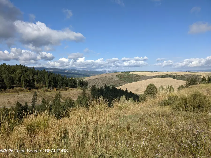 L50B4 Cutthroat Run, Irwin, ID 83424 - #3