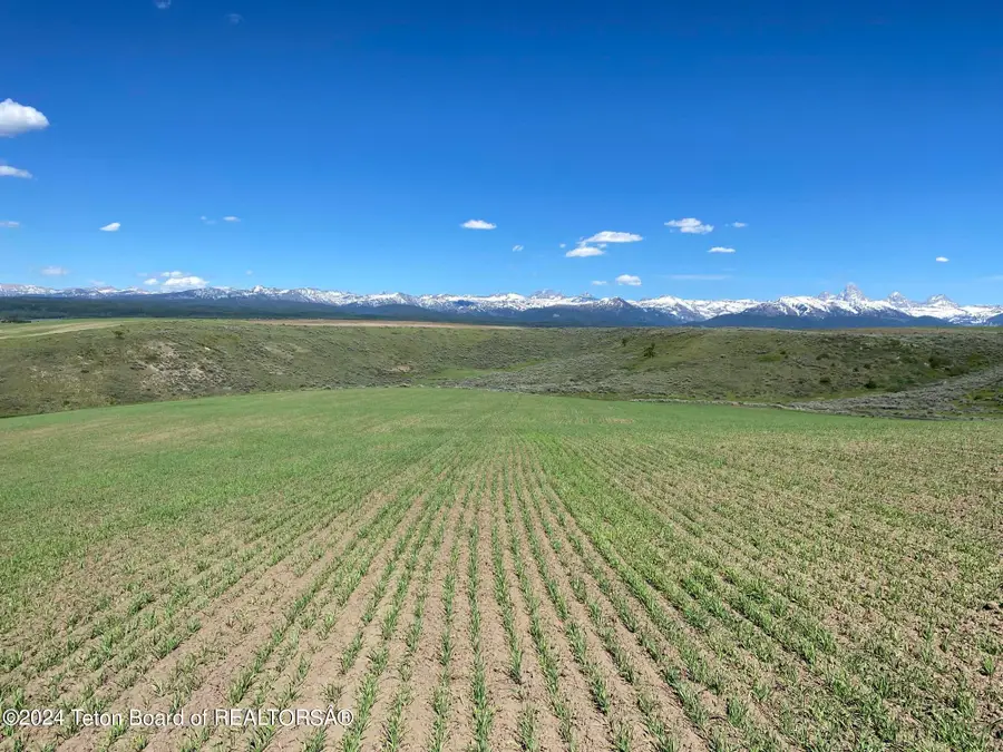 2633 Spring Hollow Ranch Road, Tetonia, ID 83452 - #3