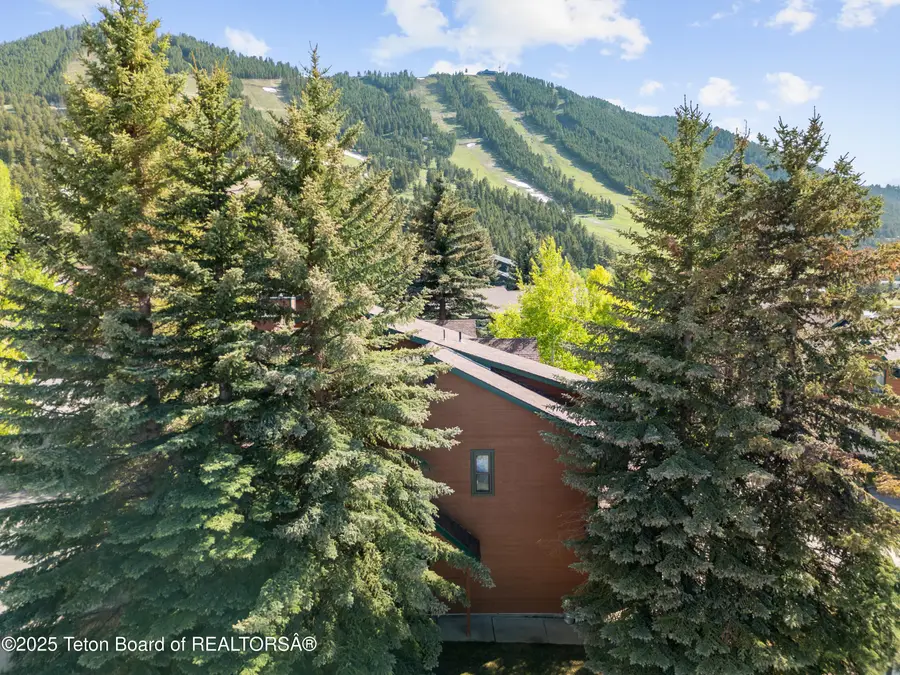 371 Snow King Loop, Jackson, WY 83001 - #3