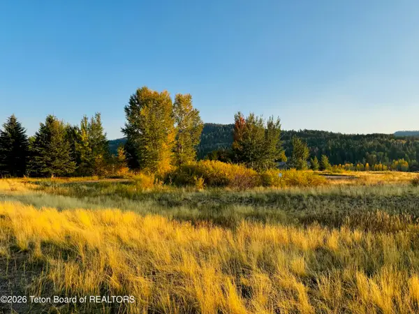 54 Warm Creek Lane, Victor, ID 83455