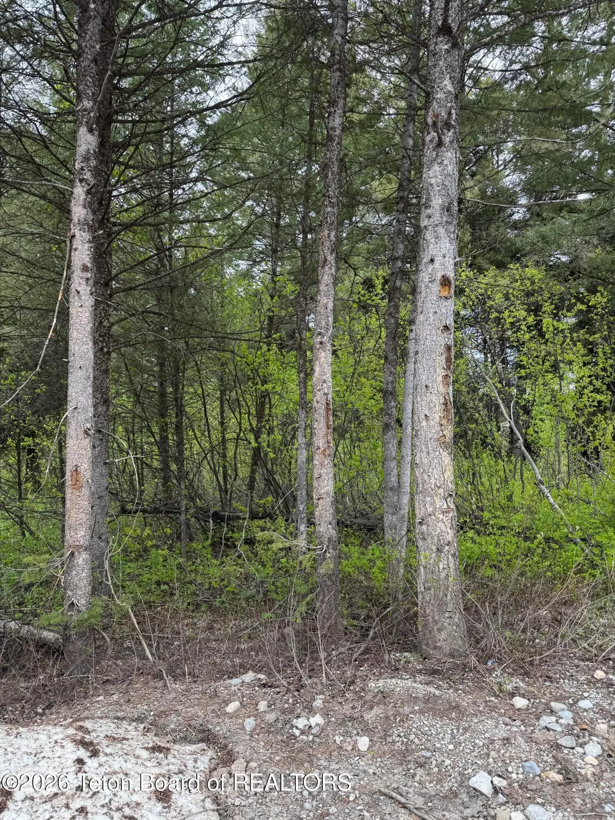 241 Spurwood Drive, Star Valley Ranch, WY 83127 - #1