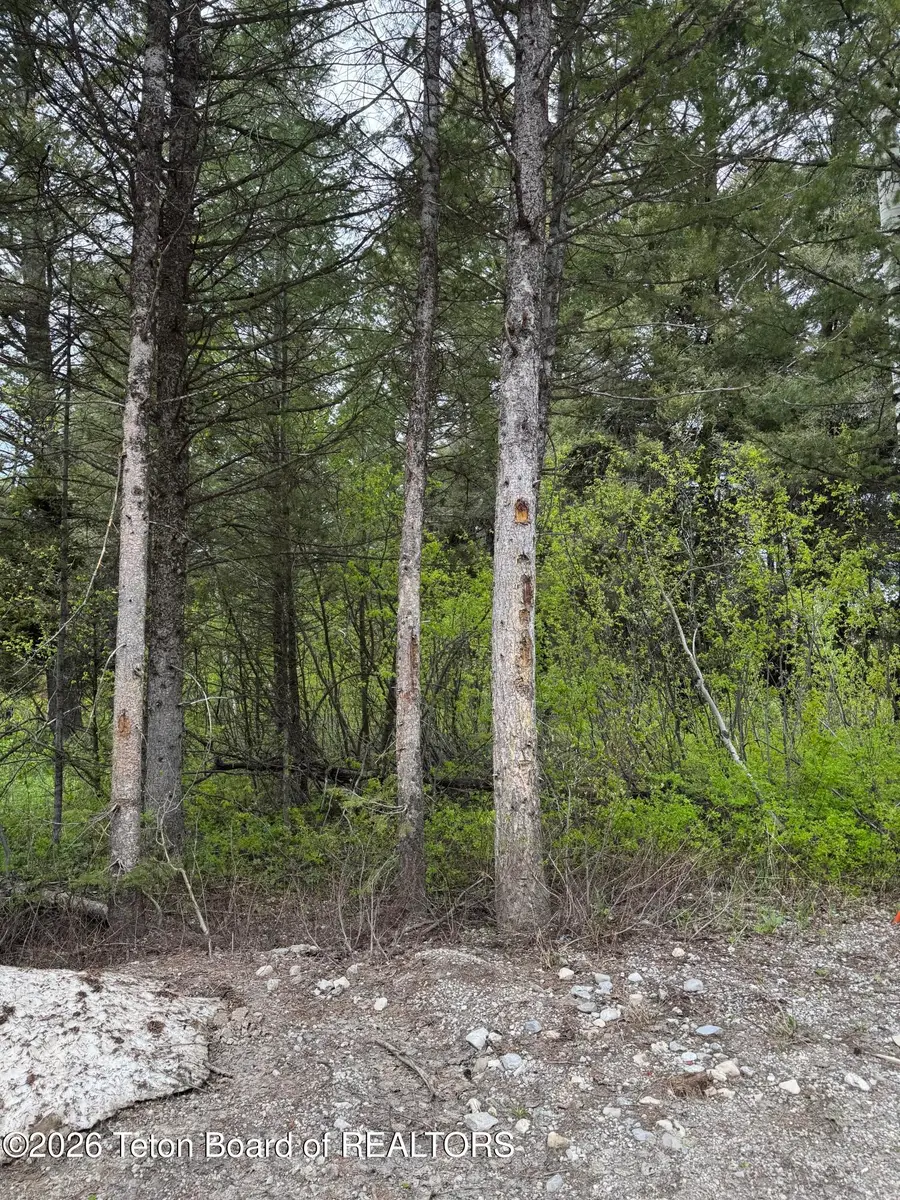 241 Spurwood Drive, Star Valley Ranch, WY 83127 - #2