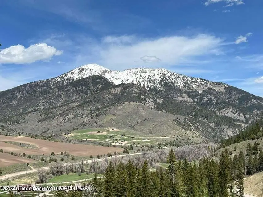 LOT31-32B1 Cutthroat Run, Irwin, ID 83428 - #1